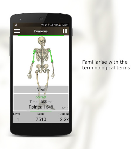 Anatomy Quiz PC