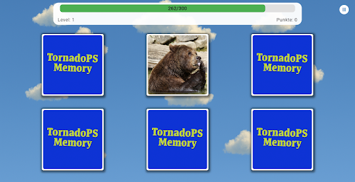 Eigene Bilder Memory PC