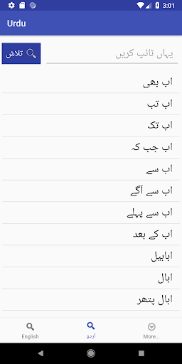 Urdu Dictionary English پی سی