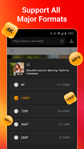 All Video Downloader & Player PC