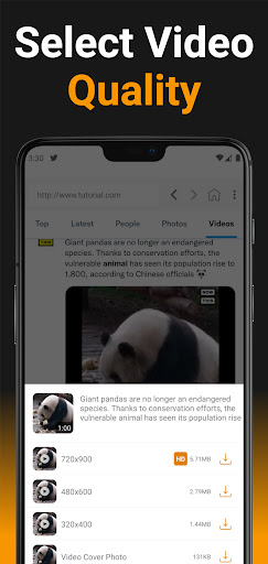 All Video Downloader & Saver PC