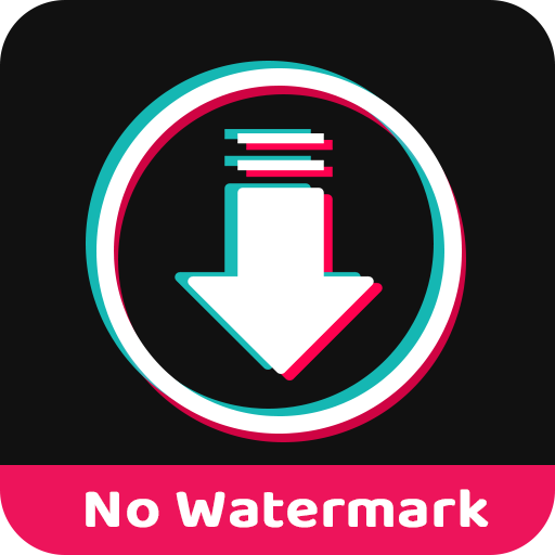 No Watermark Video Downloader PC