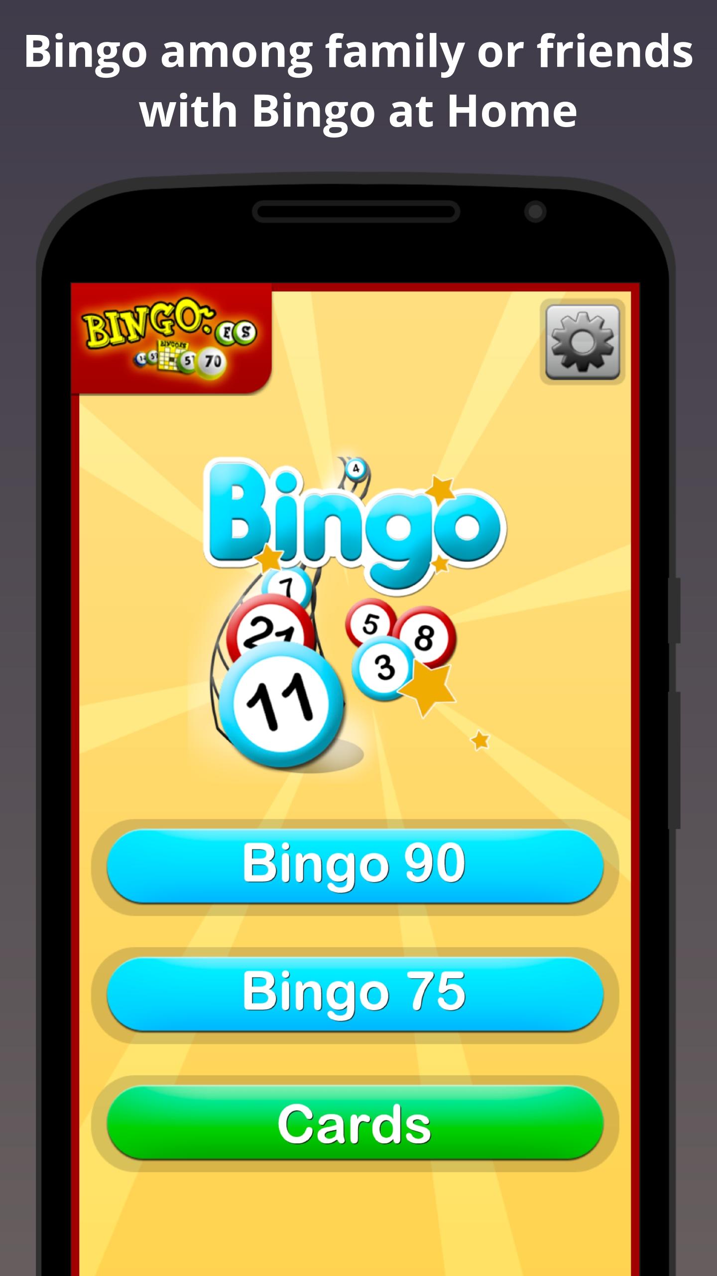 Bingo at Home PC