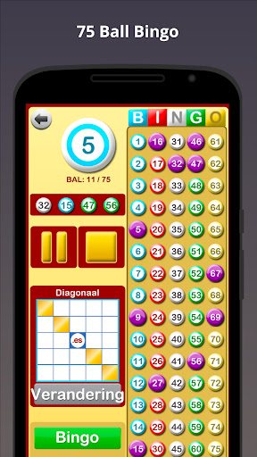 Bingo Thuis