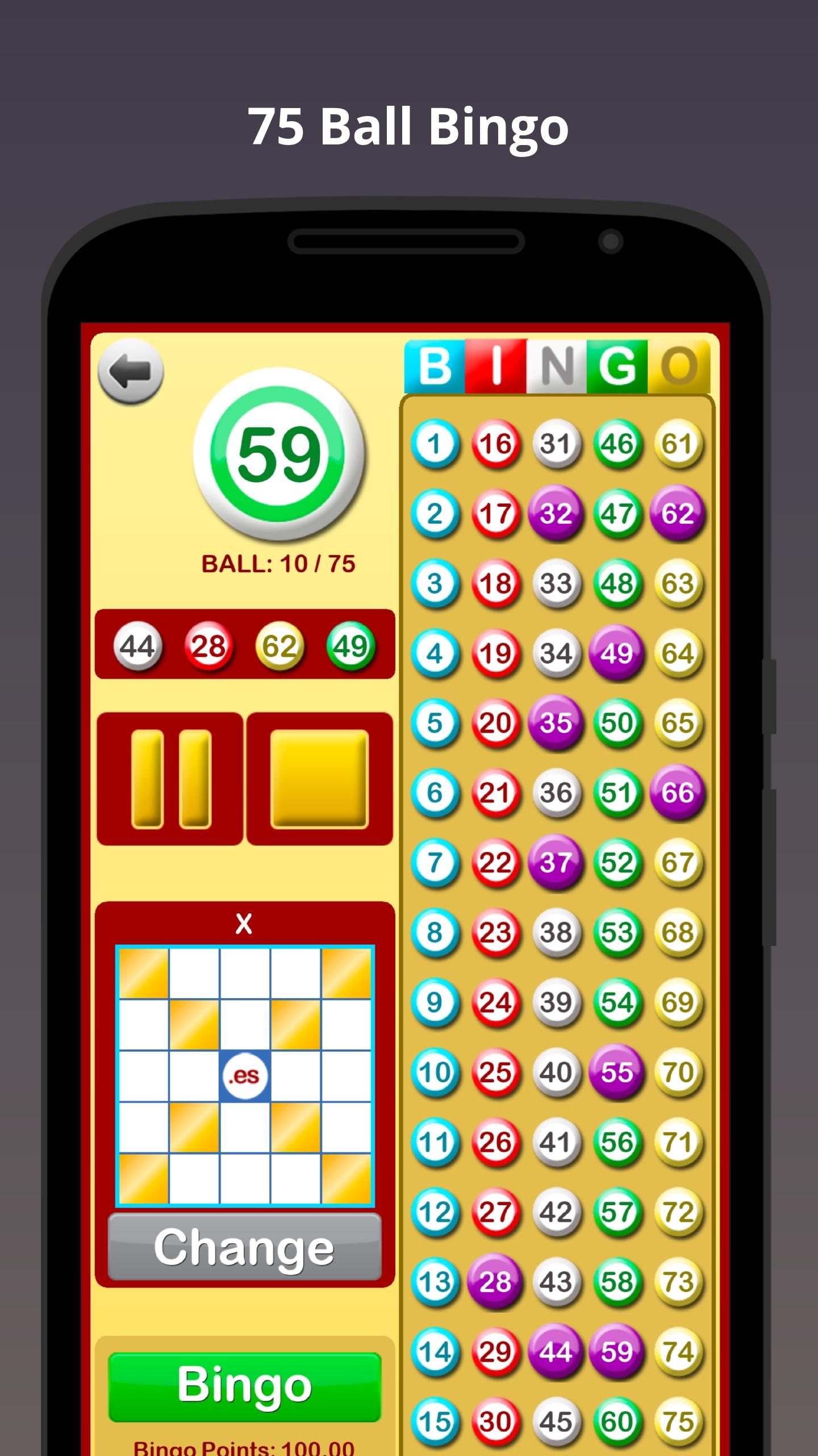 Bingo at Home PC
