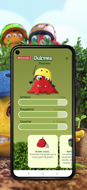 Minihuerto de Lidl PC