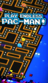 PAC-MAN 256 - 次世代エンドレスパックマン！- PC版