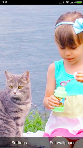 MagicWall - video wallpaper PC