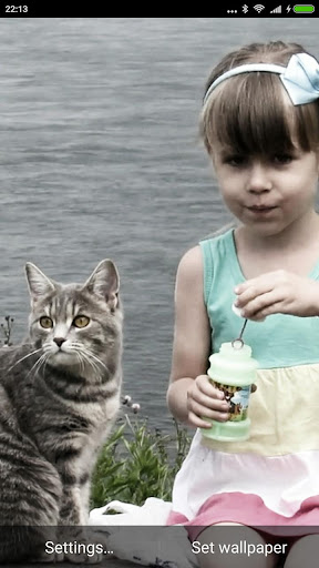 MagicWall - video wallpaper PC