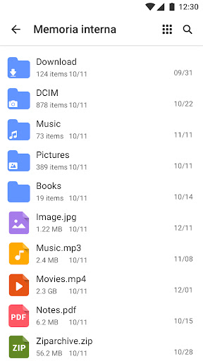 Gestione File - File Manager PC