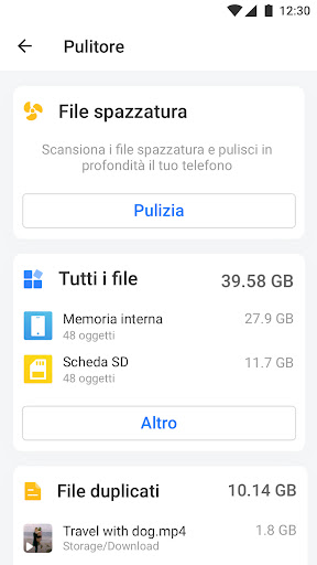 Gestione File - File Manager PC