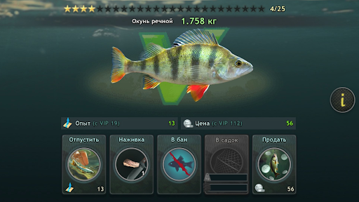 World of Fishers, Fishing game PC