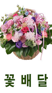 꽃배달 flowerplus