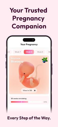 WeMoms Pregnancy Baby Tracker電腦版