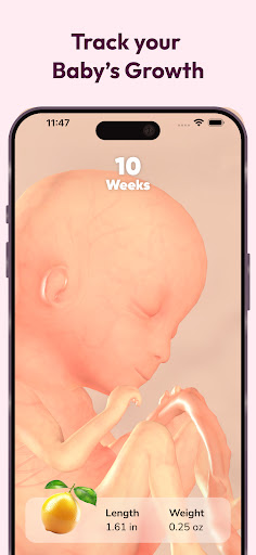 WeMoms Pregnancy Baby Tracker PC