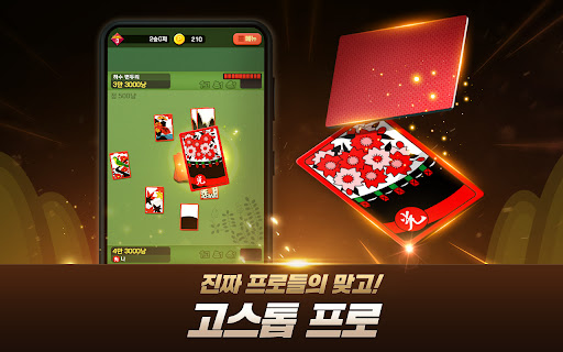 고스톱 프로 : 프리미엄 맞고 PC