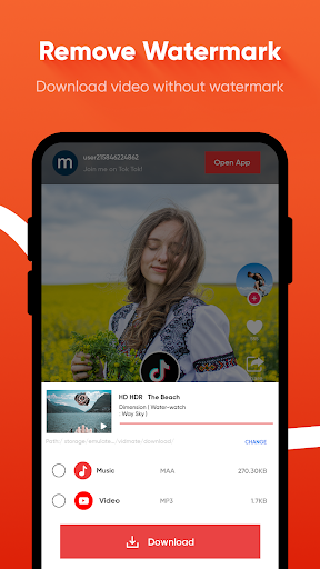 All Video Downloader پی سی