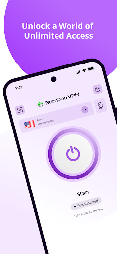 VPN di bambù PC