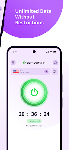 VPN di bambù PC