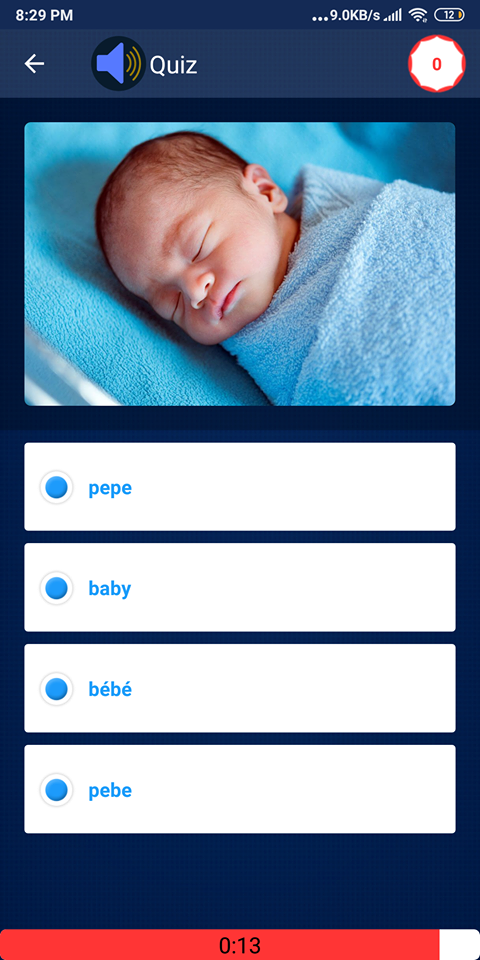 French Grammar Tests PC