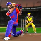 Bat & Ball: Play Cricket Games PC