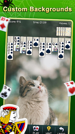 Spider Solitaire PC