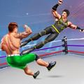 Tag Team Wrestling Game PC