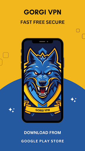 GORGI VPN PC