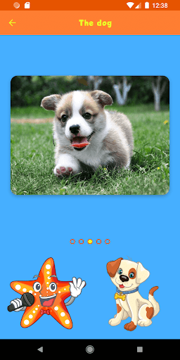 Animals for Kids پی سی