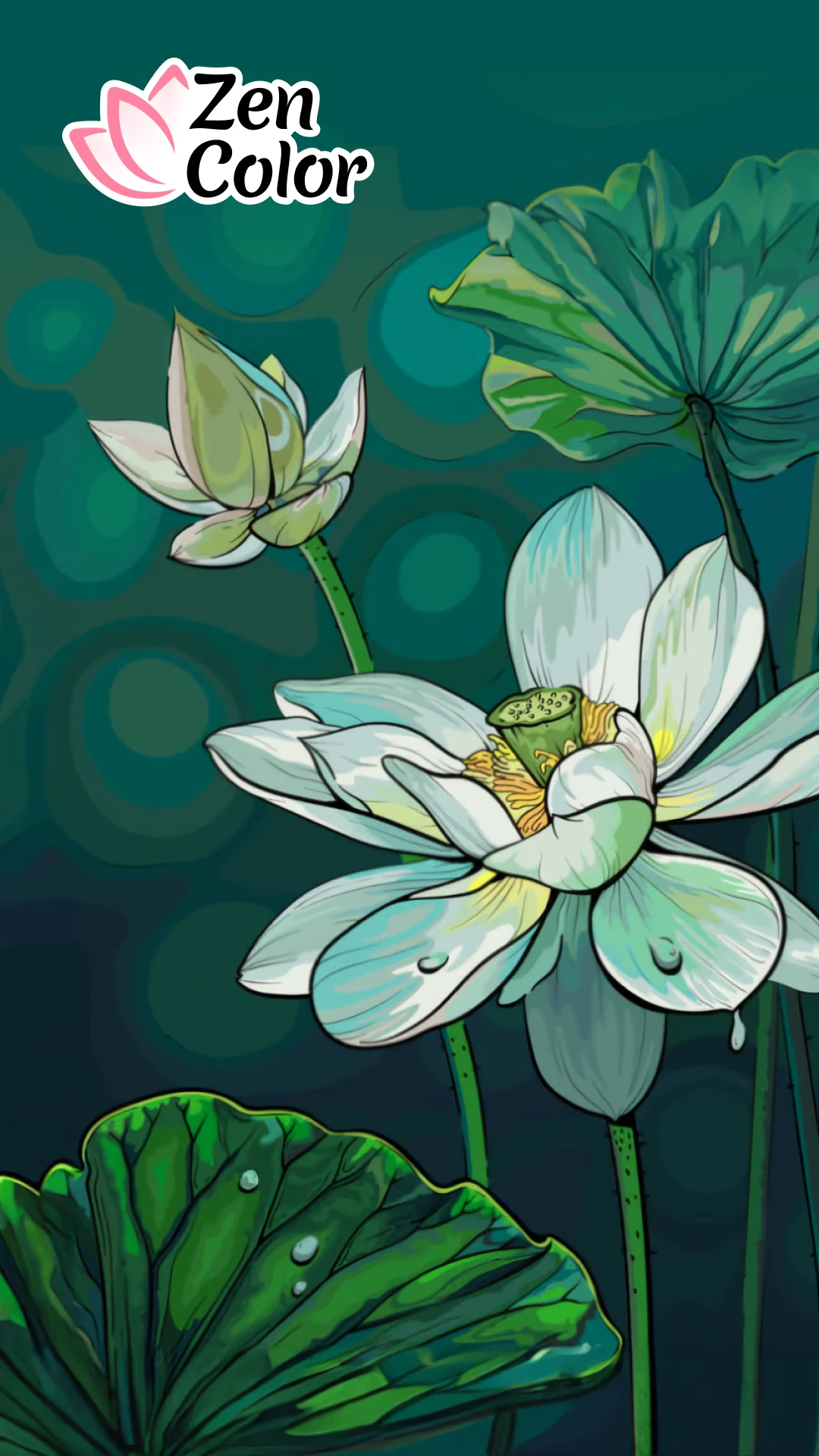 Zen Color - Colore per numero PC