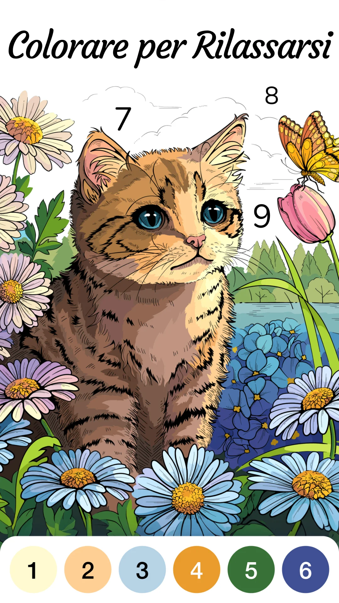 Zen Color - Colore per numero PC