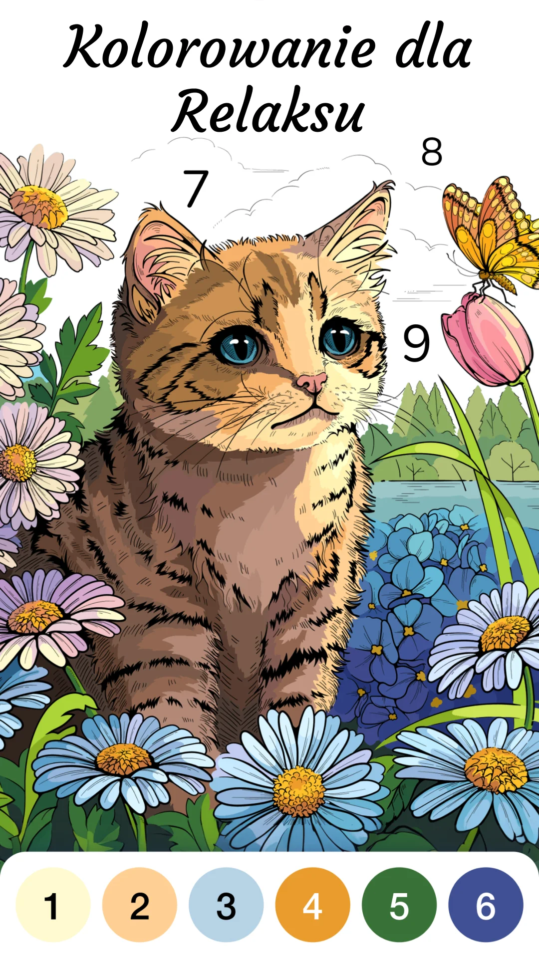 Zen Color – koloruj wg numeru PC