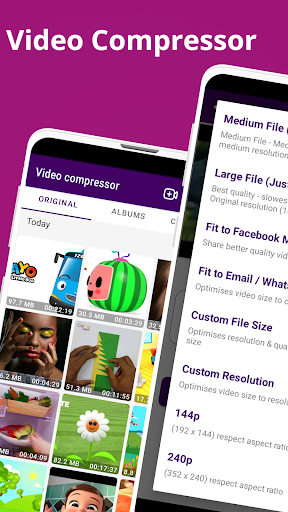 Video Compressor PC