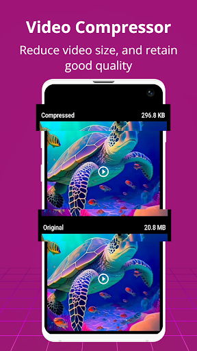 Video Compressor PC