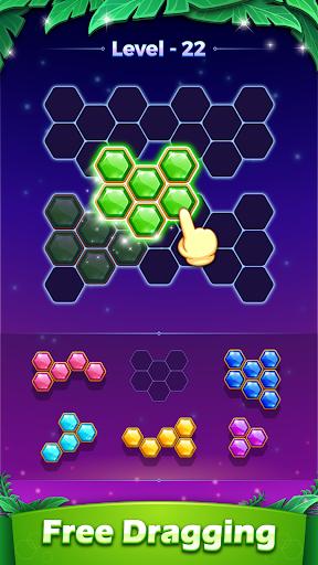 Hexa Block Puzzle -Block Games