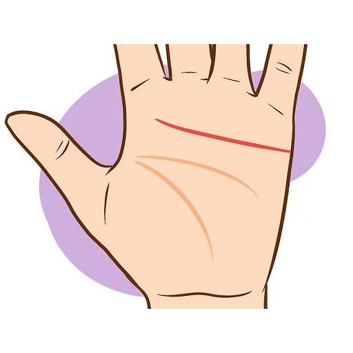 پامسٹری۔ اپنے ہاتھ پر لکیریں پ پی سی