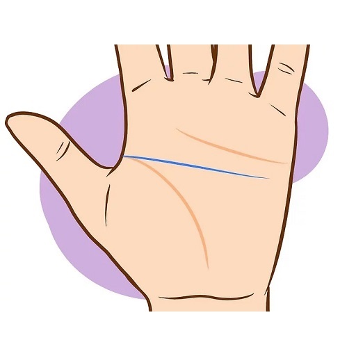 پامسٹری۔ اپنے ہاتھ پر لکیریں پ پی سی