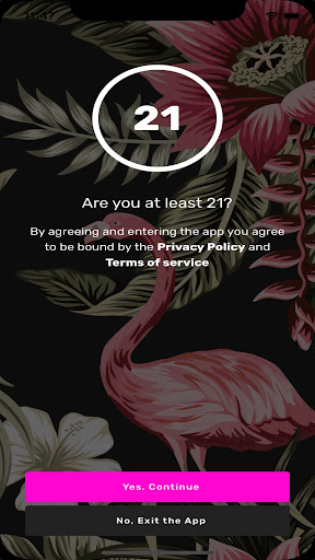 Tipsy Flamingo电脑版