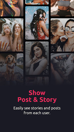 InSeen: Story & Profile Viewer