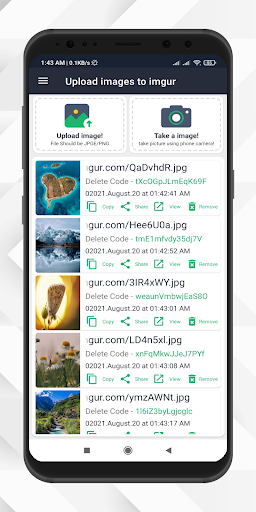 Imgur Upload - Image to Imgur PC版