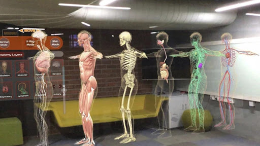 Human Anatomy 4D In VR AR MR