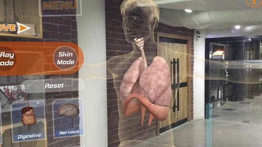 Human Anatomy 4D In VR AR MR