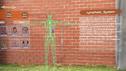 Human Anatomy 4D In VR AR MR