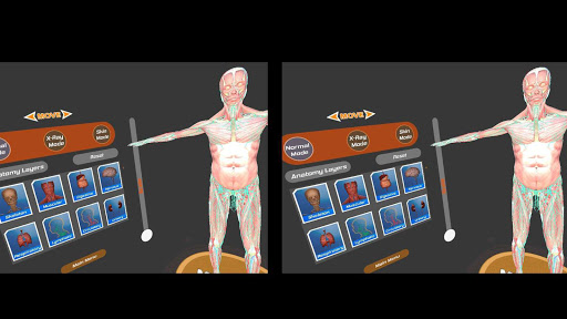 Human Anatomy 4D In VR AR MR