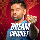 Dream Cricket 2024 پی سی
