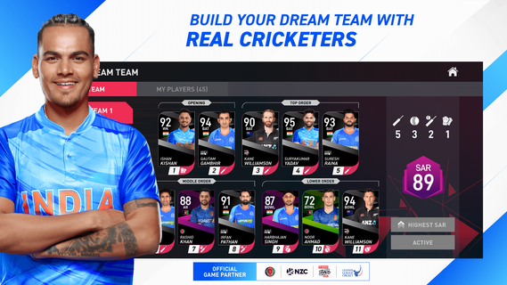 Dream Cricket 2024 PC