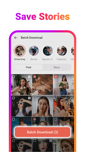 Video Downloader & Story Saver PC