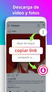 Descargar Videos de IG
