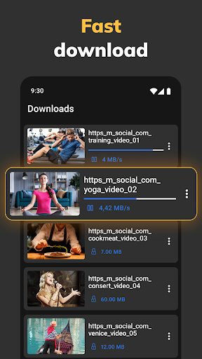 Private Video Downloader PC