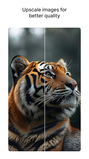 Pixelbin: AI Photo Editor پی سی
